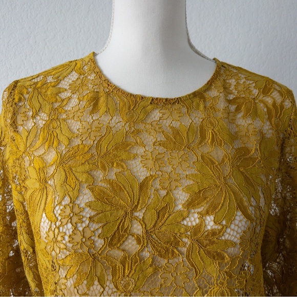 Zara Mustard Yellow Floral Lace Sheer Blouse Size Large - Picture 3 of 10